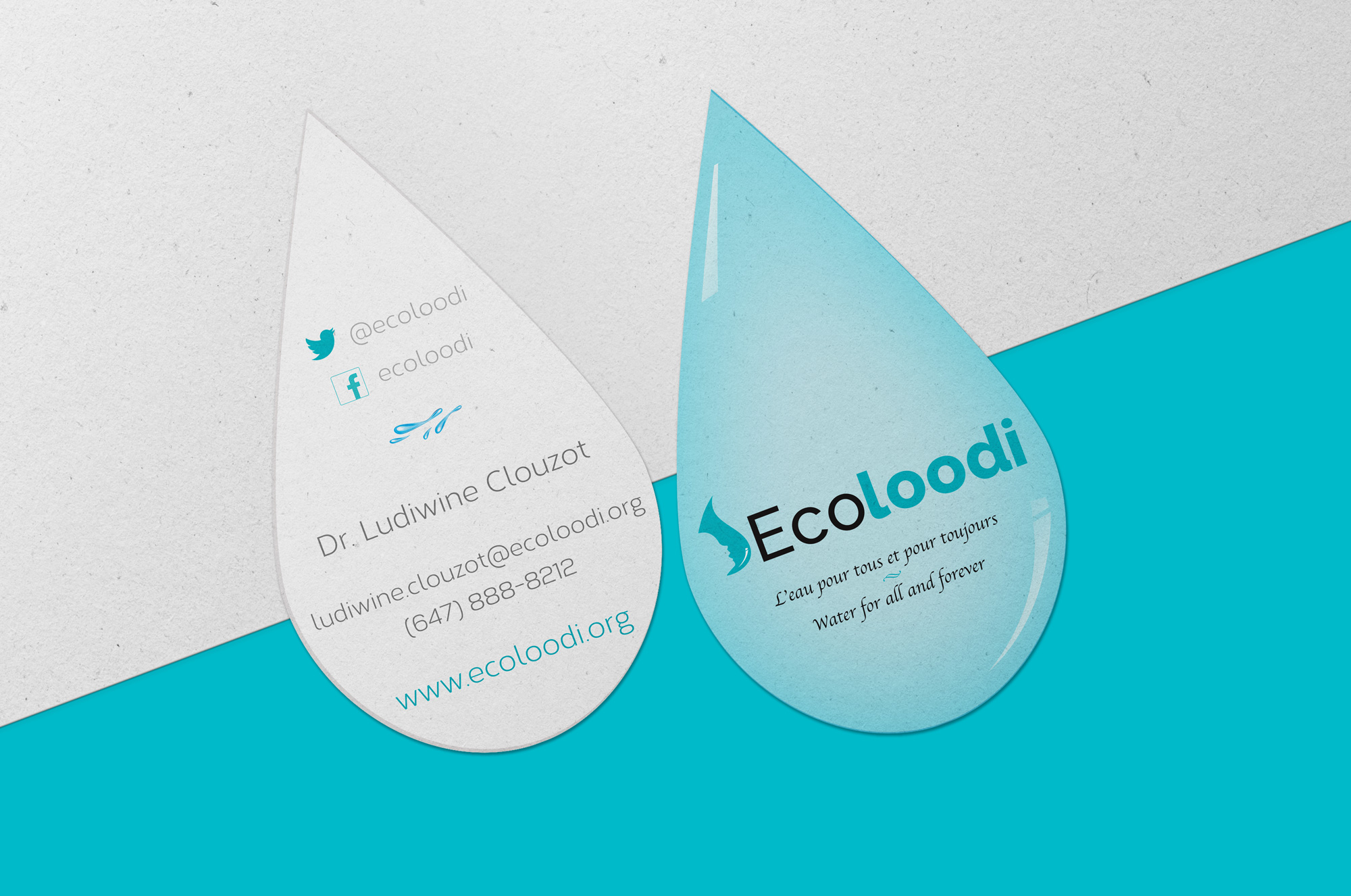 OC_Ecoloodi_Branding-BizCards
