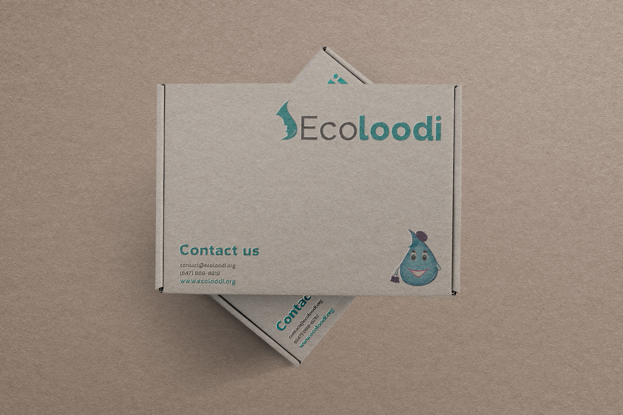 OC_Ecoloodi_Branding-Box-mockup